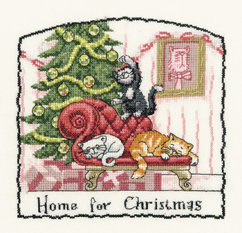 Cats Rule Home for Christmas